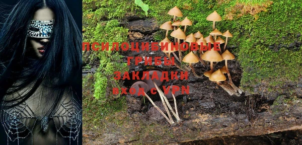 бошки Михайлов