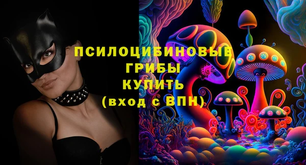 бошки Михайлов