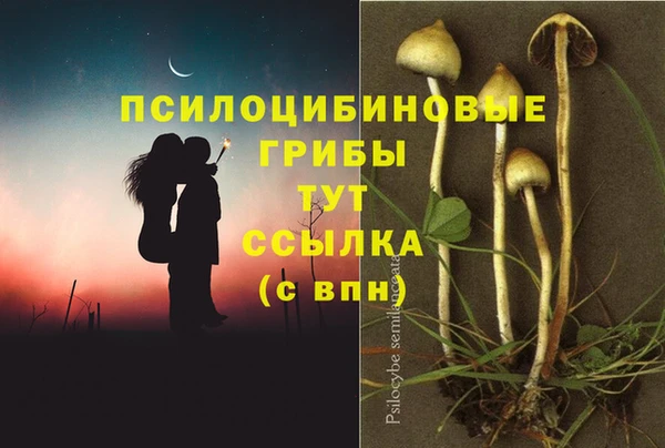 бошки Михайлов