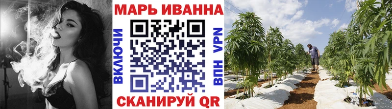 где продают   дарк нет какой сайт  Канабис OG Kush  Новоржев 